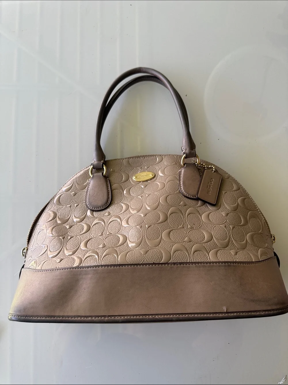 Coach Metallic Taupe Signature Dome Satchel
